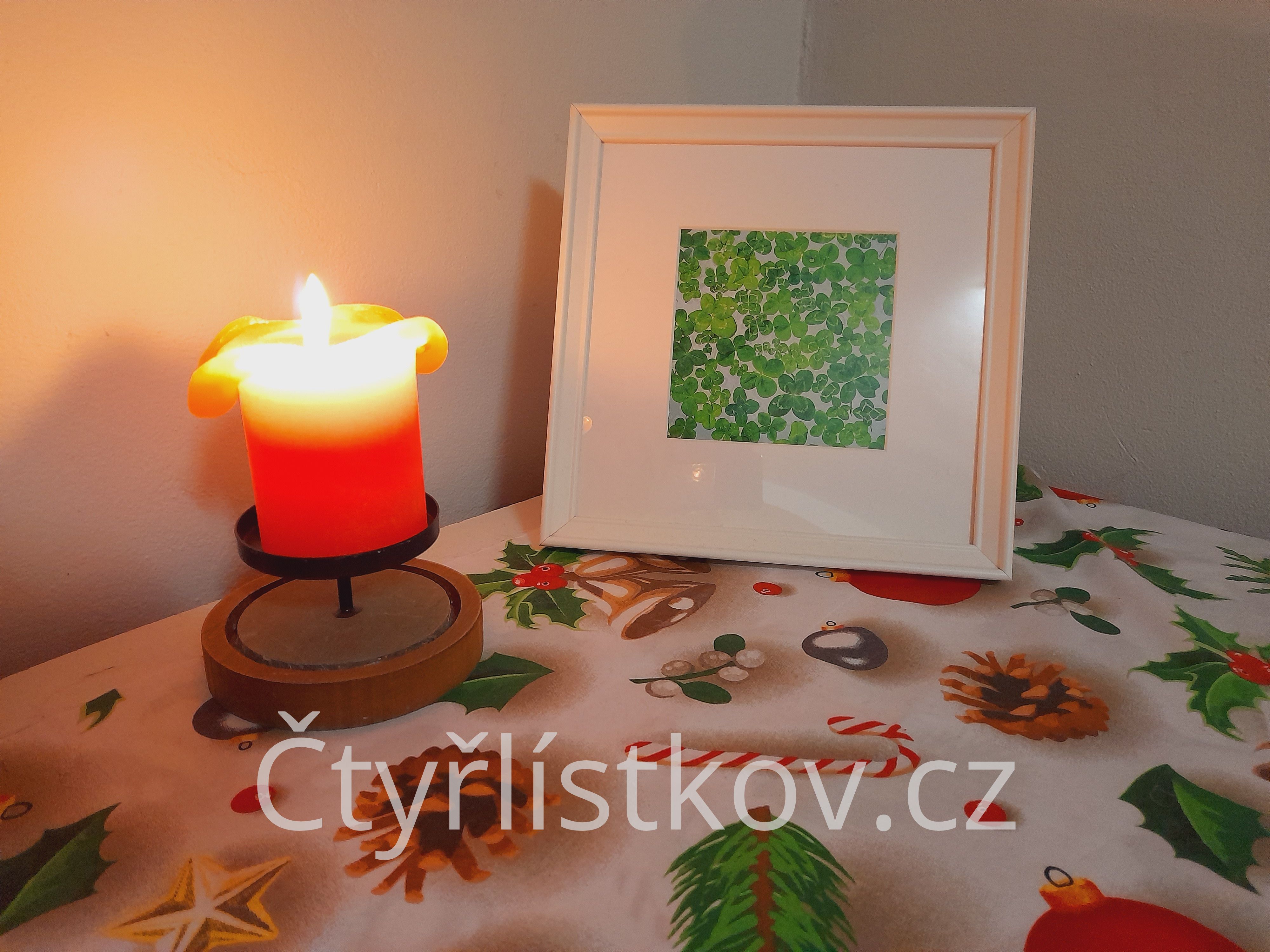 Fotografie čtyřlístků s paspartou ve vánočním ladění