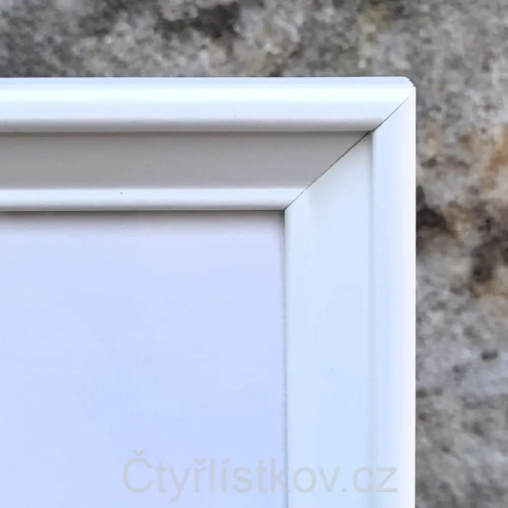 Fotografie plná čtyřlístků 25x25cm - bílá - s paspartou