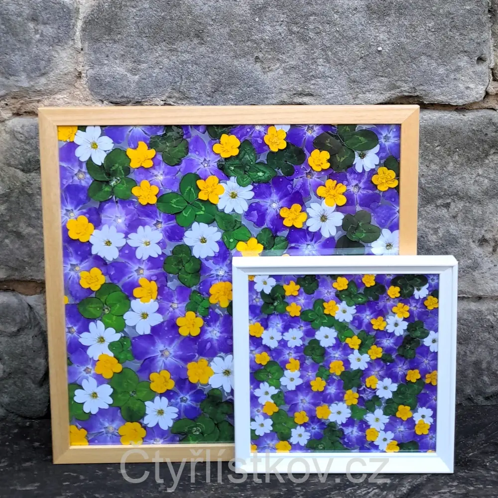 Fotografie - čtyřlístky s květy barvínku, pryskyřníku a rožce - 43x43cm - dřevo - plná plocha