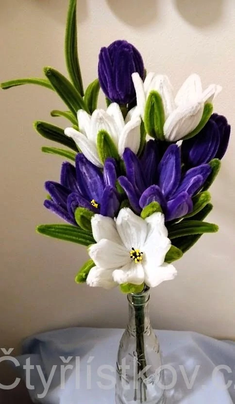 Žinylkové tulipány