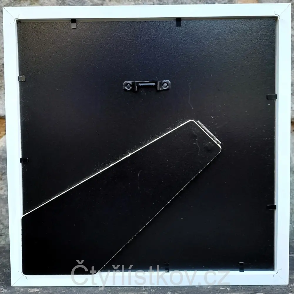 Fotografie plná čtyřlístků 25x25cm - bílá - s paspartou