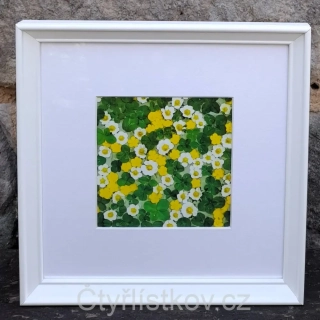 Fotografie - čtyřlístky s květy pryskyřníku a jahodníku - 25x25cm - bílá - s paspartou