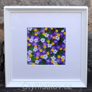 Fotografie - čtyřlístky s květy barvínku, pryskyřníku a rožce - 25x25cm - bílá - s paspartou