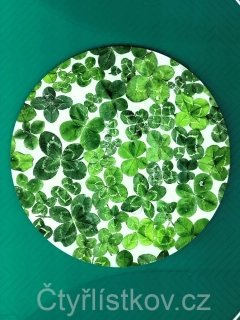 Samolepka plná čtyřlístků - kruh 15 cm