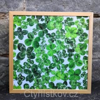 Fotografie plná čtyřlístků 43x43cm - dřevo - plná plocha