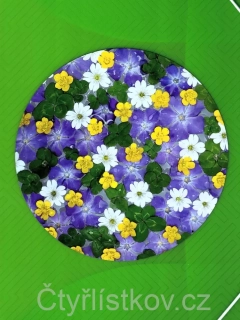 Samolepka - čtyřlístky s květy barvínku, pryskyřníku a rožce - kruh 15 cm