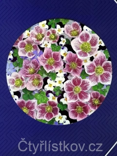 Samolepka - čtyřlístky s květy čemeřice, violek a barvínku - kruh 15 cm