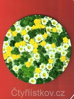 Samolepka - čtyřlístky s květy pryskyřníku a jahodníku - kruh 15 cm