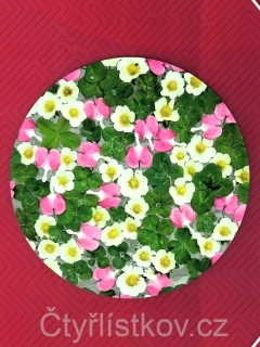 Samolepka - čtyřlístky s květy srdcovky a jahodníku - kruh 15 cm