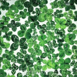 Magnetka plná čtyřlístků - čtverec 10 cm