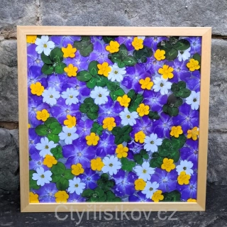 Fotografie - čtyřlístky s květy barvínku, pryskyřníku a rožce - 43x43cm - dřevo - plná plocha