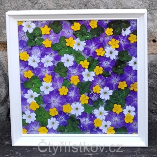 Fotografie - čtyřlístky s květy barvínku, pryskyřníku a rožce - 25x25cm - bílá - plná plocha