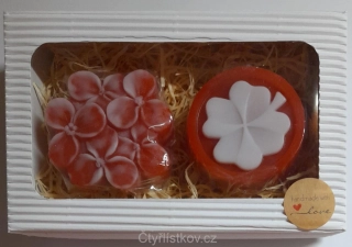 Voňavý čtyřlístek + hortenzie v krabičce