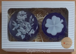 Voňavý čtyřlístek + kolibřík s květy v krabičce