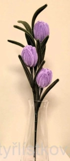 Žinylkové tulipány
